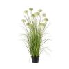 Grasbusch im Topf m. Allium - Weißgrün - 117 cm