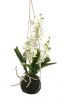 Pflanze Orchidee m. Ballen z. Hängen - Künstlich - Cremeweiß - 35 cm