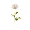 Einzelblume Rose Gigant - Weiß - 108 cm