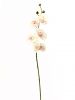 Einzelblume Orchidee - Künstlich - Hellrosa / Weiß - 70 cm