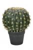 Kaktus im Topf - Künstlich - Graugrün - 34 cm