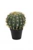 Kaktus im Topf - Künstlich - Graugrün - 25 cm