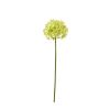 Einzelblume Allium - Grasgrün - 58 cm