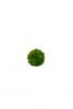 Kugel Buchs - Grasgrün - 15 cm