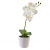 Pflanze Orchidee im Topf - Künstlich - Weiß - 30 cm
