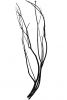 Zweig Mitsumata - 3 Stück als Bund - Schwarz - 110 cm
