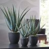 Pflanze Aloe im Topf - Künstlich - Patinagrün - 35 cm