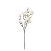 Zweig Magnolie - Künstlich - Weiß - 86 cm