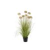 Grasbusch im Topf m. Allium - Lachsorange - 94 cm