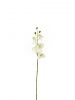Einzelblume Orchidee - Künstlich - Weißgrün - 70 cm