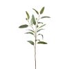 Zweig Eukalyptus m. Früchten - Patinagrün - 74 cm